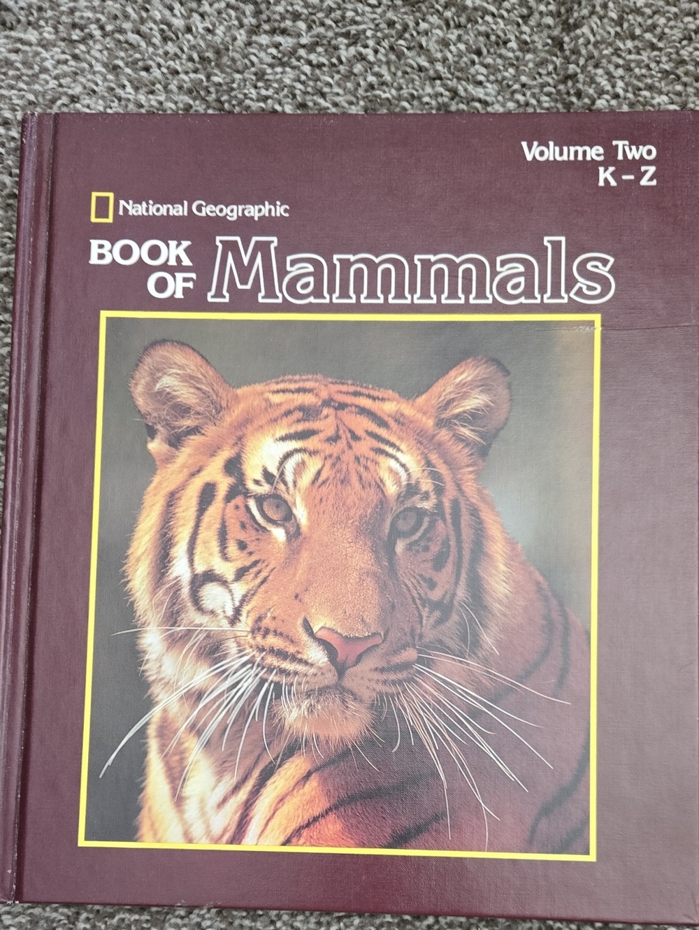 National Geographic Brown and Gold Tiger Cover Book